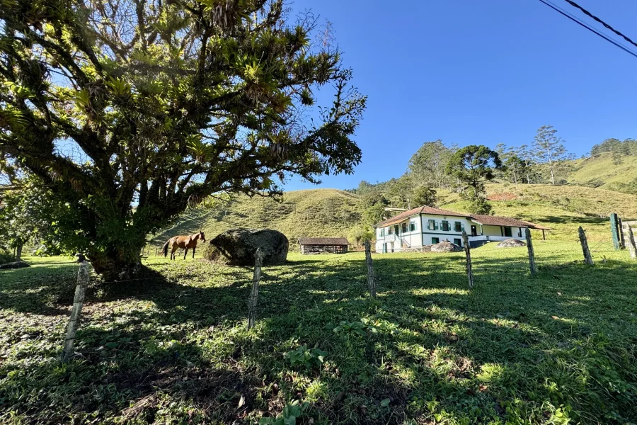 Fazenda Vô Azarias - 61