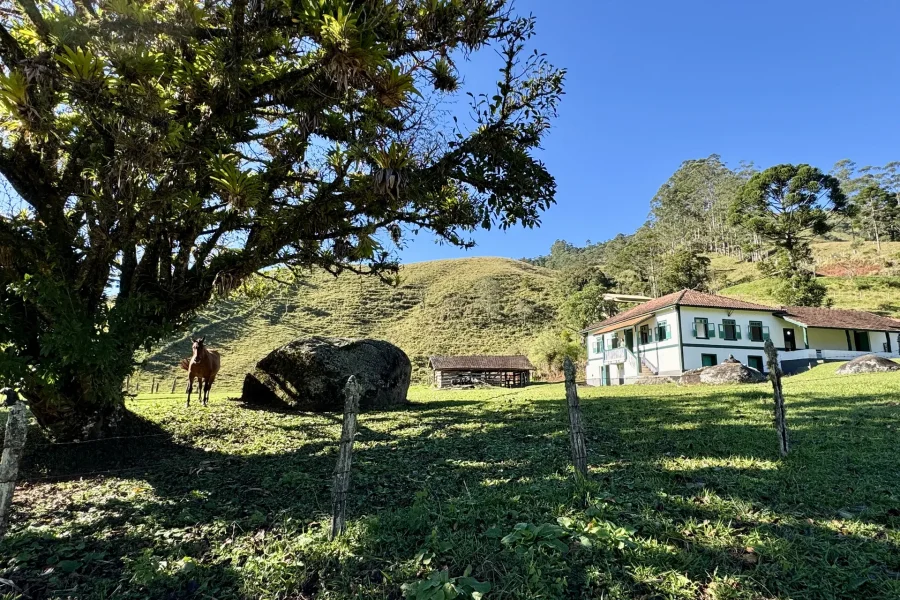 Fazenda Vô Azarias - 62
