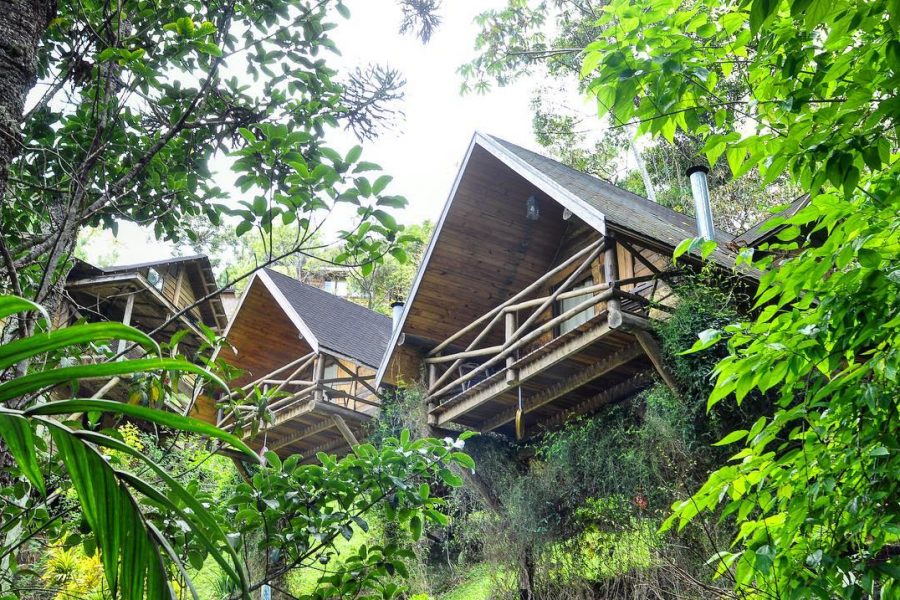 amo-visconde-de-maua-rancho-das-framboesas-a-pousada-novas (7)