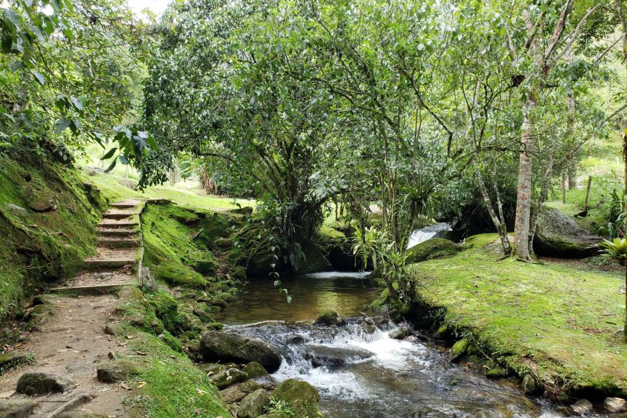 amo-visconde-de-maua-sitio-cachoeiras-do-alcantilado (21)