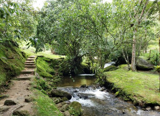 amo-visconde-de-maua-sitio-cachoeiras-do-alcantilado (21)