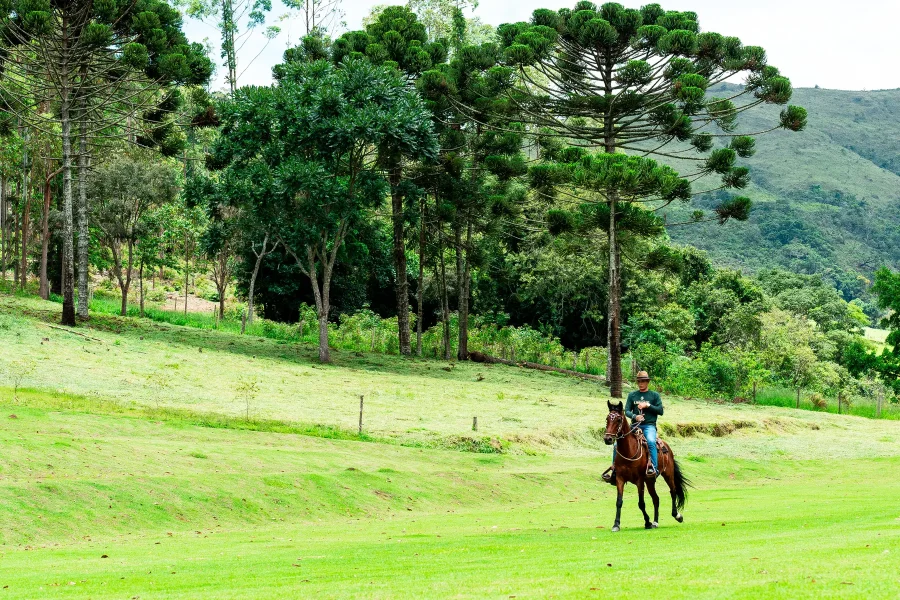 fazenda-liberdade-2-1