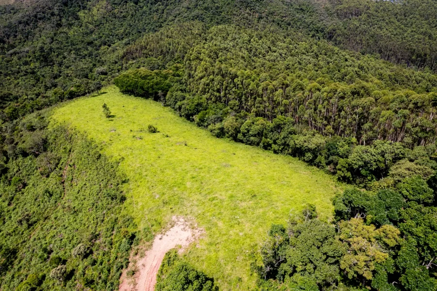 fazenda-liberdade-3-5